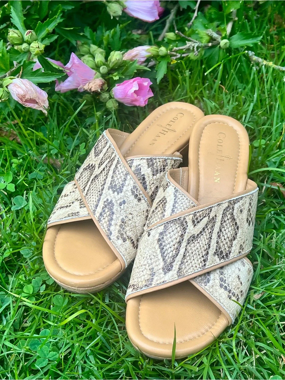 Cole Haan Snakeskin snake 🐍 wedges cork cushioned comfort with Nike Technology 7
